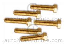 Brass Anchors Bolts